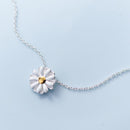 Colar de Prata Elegancy - Elegancy Brasil